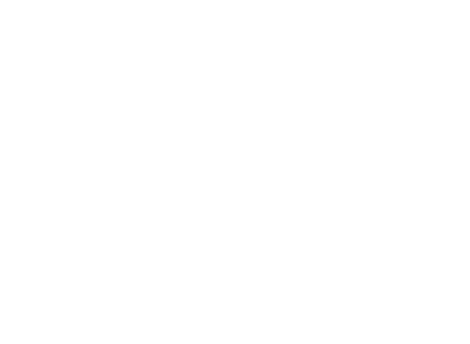 Iara Schneider - Advogados Associados